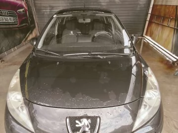 Авто Peugeot 207 2007 № 7831503