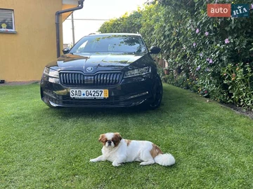 Авто Skoda Superb 2020 № 7835310
