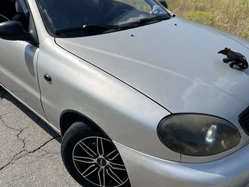 Авто Daewoo Lanos 2004 № 7844585