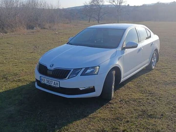 Авто Skoda Octavia 2017 № 7856201