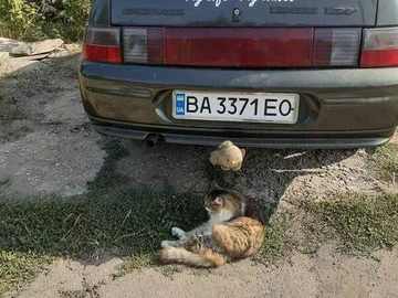 Авто ВАЗ 2110 2004 № 7859208