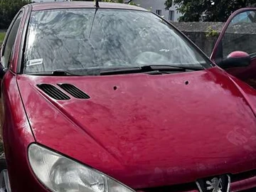 Авто Peugeot 206 2001 № 7875555