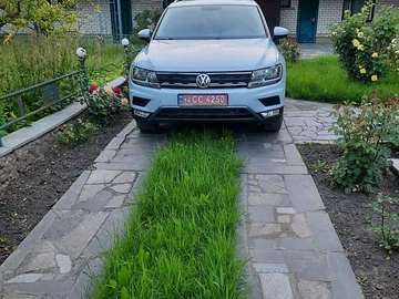 Авто Volkswagen Tiguan 2017 № 7886164
