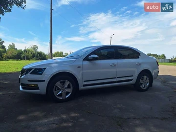 Авто Skoda Octavia 2018 № 7899467