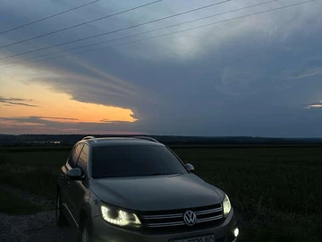 Авто Volkswagen Tiguan 2013 № 8000832