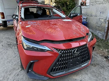 Авто Lexus Nx 2024 № 7907171