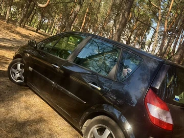 Авто Renault Scenic 2003 № 7909641