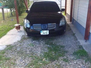 Авто Nissan Maxima 2004 № 7912589