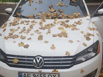 Авто Volkswagen Passat 2012 № 7914584