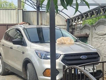 Авто Ford Escape 2018 № 7916556