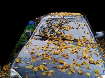 Авто Daewoo Lanos 2010 № 7916904