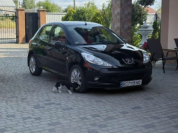 Авто Peugeot 206 Plus 2011 № 7917475