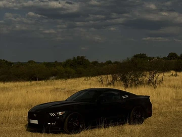 Авто Ford Mustang 2016 № 7919944