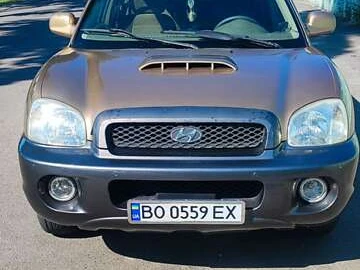 Авто Hyundai Santa Fe 2001 № 7920087