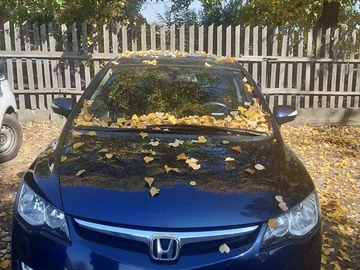 Авто Honda Civic 2008 № 7924584