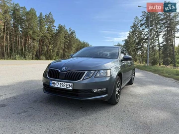 Авто Skoda Octavia 2019 № 7931268
