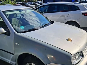 Авто Volkswagen Golf 2000 № 7973654