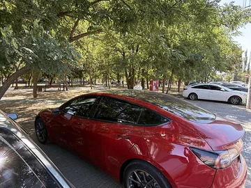 Авто Tesla Model 3 2019 № 8008583