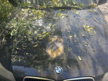 Авто BMW 3 Series 2011 № 8008802