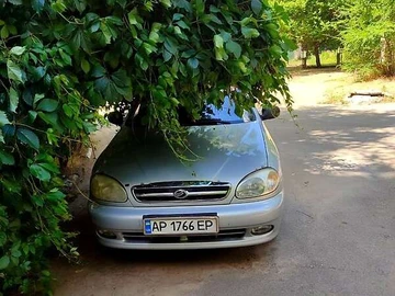 Авто ЗАЗ Lanos 2011 № 8014432