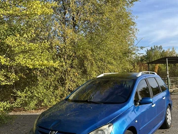 Авто Peugeot 307 2002 № 8026968