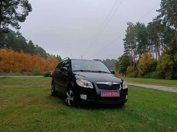 Авто Skoda Fabia 2009 № 8098616