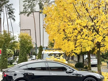Авто Tesla Model 3 2018 № 8106511