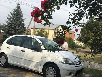 Авто Citroen C3 2009 № 8109666