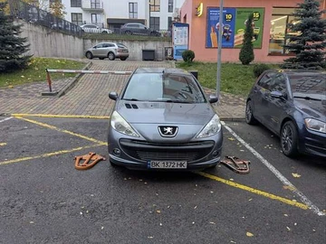 Авто Peugeot 206 Plus 2010 № 8109692