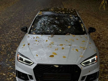 Авто Audi A5 Sportback 2019 № 8116009