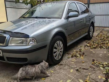 Авто Skoda Octavia 2006 № 8133470