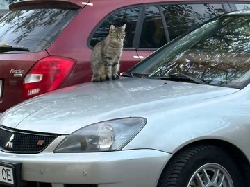 Авто Mitsubishi Lancer 2007 № 8165108