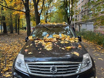 Авто SsangYong Rexton 2013 № 8165306