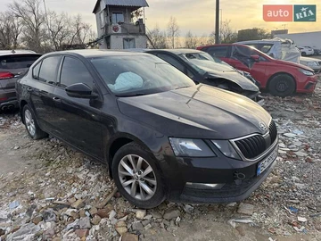 Авто Skoda Octavia 2019 № 8182783