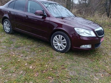 Авто Skoda Octavia 2010 № 8205261