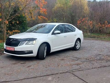 Авто Skoda Octavia 2019 № 8208133