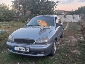 Авто Daewoo Lanos 2008 № 8210468