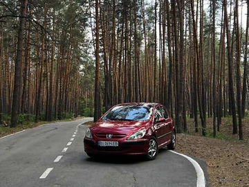 Авто Peugeot 307 2004 № 8222905