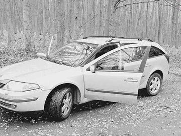 Авто Renault Laguna 2001 № 8225514