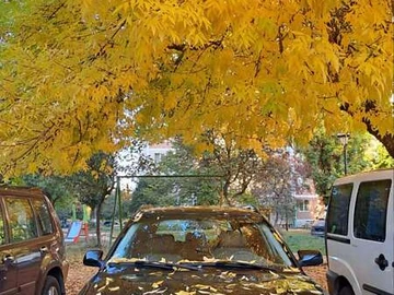 Авто Audi A4 2000 № 8240243