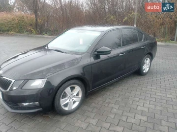 Авто Skoda Octavia 2018 № 8240861