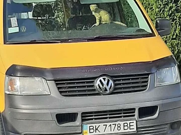 Авто Volkswagen Transporter 2009 № 8253152