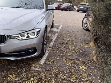 Авто BMW 3 Series 2018 № 8266642