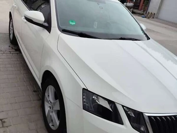 Авто Skoda Octavia 2019 № 8297391