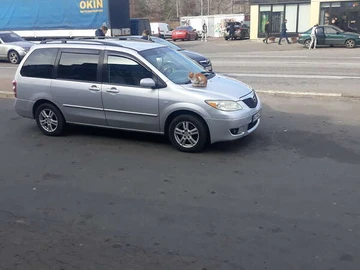 Авто Mazda Mpv 2004 № 8305706