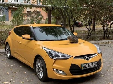 Авто Hyundai Veloster 2012 № 8305800