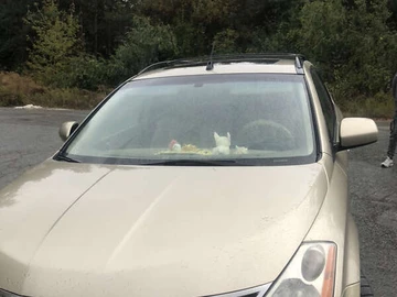 Авто Nissan Murano 2006 № 8310193