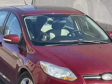 Авто Ford Focus 2014 № 8314743