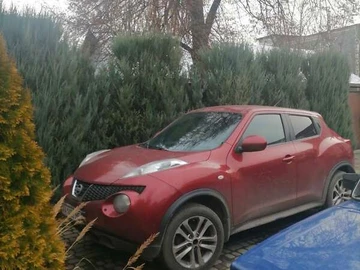 Авто Nissan Juke 2011 № 8315260