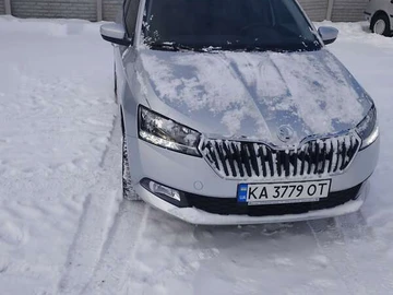 Авто Skoda Fabia 2020 № 8365683